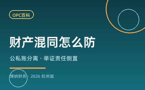一人公司的财产混同风险：举证责任倒置与公私账分离